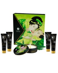 SHUNGA - KIT THÉ VERT BIO SECRET GEISHA