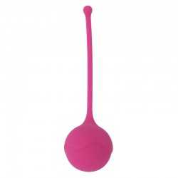 INTENSE KISHA FIT ONE SILICONE KEGEL HOT ROSE